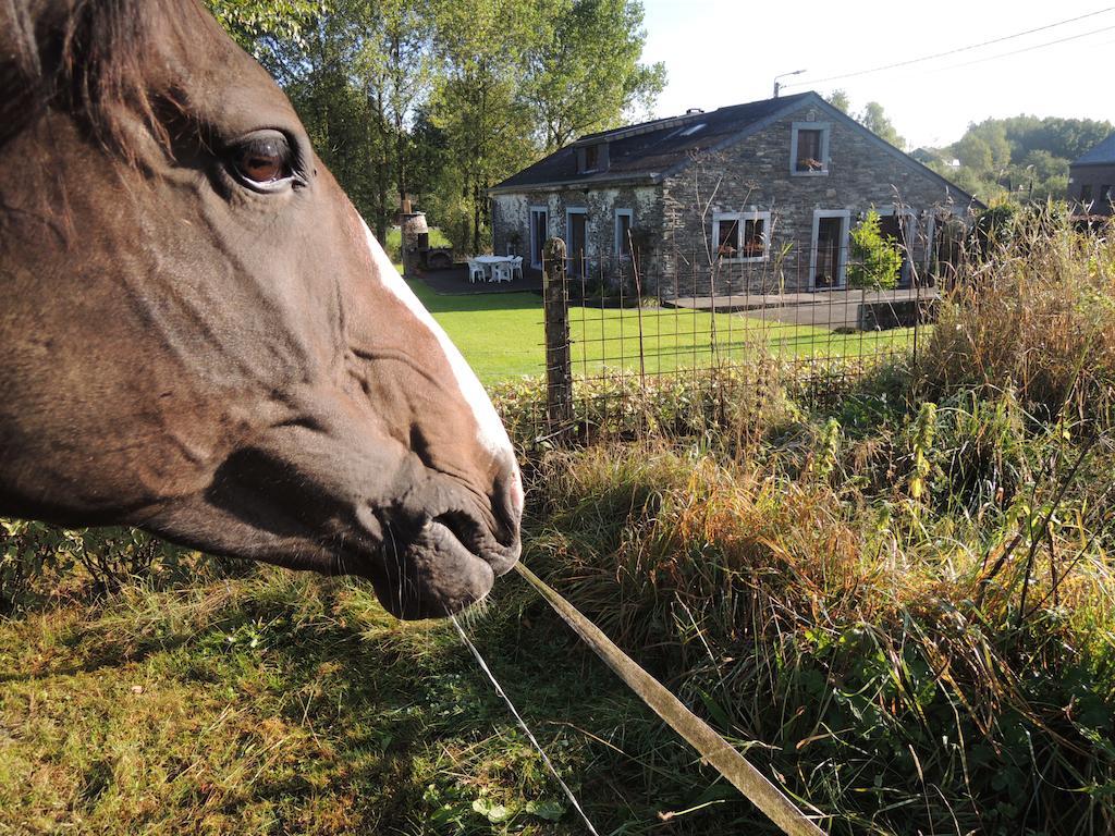Une Parenthese En Ardenne Nollevaux Cameră foto